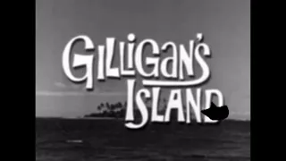 Billionaire gets arrested for playing Iconic Gilligan’s Island theme song