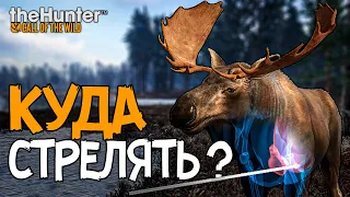 Бриллиант пришёл сам! - Берег Ревонтули - Разбиваю сердца - TheHunter Call of the Wild