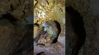 Koroit opal in the wall of a tunnel at The Comet opal mine