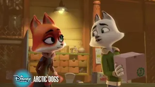 Disney Channel Family Movie | Arctic Dogs | Premiere Promo!