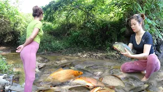 Fishing Exciting - Survival Skills, Unique Fishing, Catch A Lot Of Fish - Survival Bushcraft