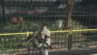 Legendary Himalayan Bear walks INFINITELY glitch (Metal Gear Solid V: The Phantom Pain)