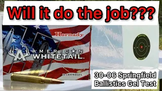 30-06 Hornady American Whitetail 150gr Ammo Review & Ballistics Gel Test: GREAT DEER HUNTING AMMO?!