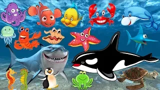 Learn the names and sounds of marine animals | animal cartoon images for children