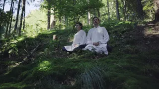 Chinese Relaxing BGM Instrumental - Bamboo Flute, Ghuzheng, Erhu - Meditation Zen Wellness Music