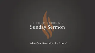 What Our Lives Must Be About — Bishop Barron’s Sunday Sermon