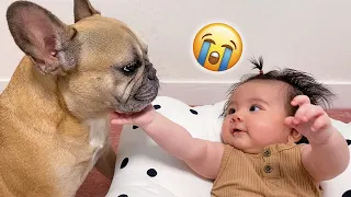 My Dog Adopts Our Baby As Her Own | 10 Cutest Dog Baby Moments