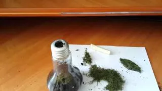 Вечный террариум своими руками / Eternal terrarium, DIY