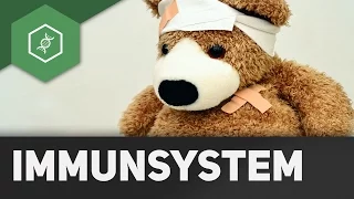 Bestandteile des Immunsystems - Einführung