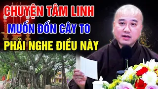 MUỐN ĐỐN CÂY TO LÂU NĂM PHẢI NGHE NGAY ĐIỀU NÀY - TRÁNH GÂY HỌA | Thầy Thích Pháp Hòa (Siêu Hay)