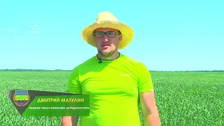 Институт им  Бараева Шортанды