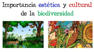 🌳 La importancia Estética y Cultural de la Biodiversidad 🌳 [Fácil y Rápido] | BIOLOGÍA |