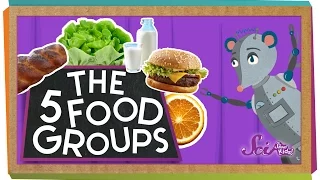 The 5 Fabulous Food Groups