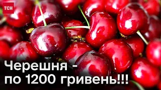 🍒 Золота черешня - по 1200 гривень! Ціни шалені!