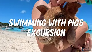 Swimming With Pigs, Sharks, Iguanas, Mermaids & more - Full Day Excursion with Exuma Water Sports