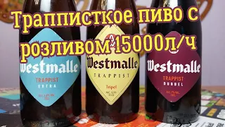 Westmalle Самое популярное Траппистское пиво из Бельгии
