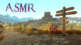 Skyrim ASMR | Taking you on a very relaxing walk across Skyrim 😴