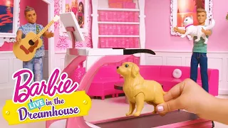 @Barbie | Mazlíci | Barbie LIVE! In The Dreamhouse