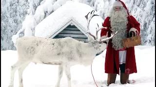 Santa Claus para las familias: Entrevista con Papá Noel después de Navidad: Laponia Finlandia