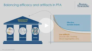 FARAPULSE™ Pulsed Field Ablation - catheter design, waveform and dosing optimization