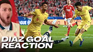 Liverpool Fan's LIVE Reaction to Luis Diaz's Goal vs Benfica | LFC Fan Reactions