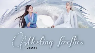 [Legendado/PIN/CHI] Miss The Dragon | Critty (熙影) - Meeting Fireflies (遇萤) OST song | female ver.