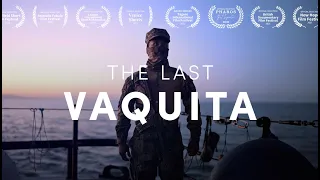 THE LAST VAQUITA | Full documentary [HD]