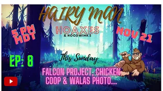 Ep: 8 Falcon Project, What happened?  Also, the chicken coop & Walas photos.