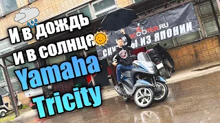 И в дождь и в солнце...YAMAHA TriCity 125