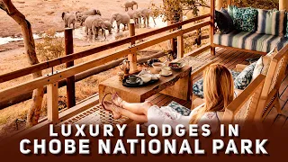 Luxury Lodges in Chobe National Park | Botswana