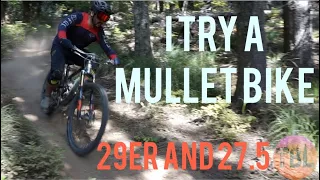 I Test A Mullet | Mixed Wheel Size | Mullet Nomad