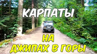 В КАРПАТСЬКІ ГОРИ НА ДЖИПАХ | ТУР В ГОРИ З ЯРЕМЧЕ