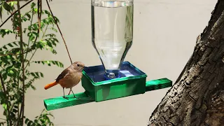 Homemade Plastic Bottle Bird Water Feeder