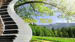 Валерий Леонтьев: - Если ты придёшь (минусовка) Yamaha PSR-740 аранжировка Сергей Артамонов