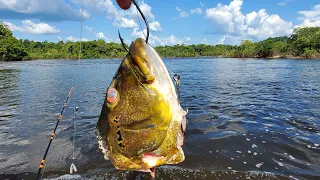 Night fishing for AMAZON CATFISH! (Big Baits)