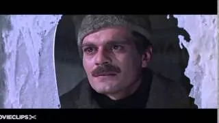 Morre o ator Omar Sharif