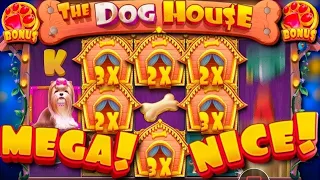 СЛОВИЛ 2 БОНУСКИ ПОДРЯД ЗА 100.000 В THE DOG HOUSE | ОКУПИЛСЯ В СПИНАХ | ЗАНОСЫ НЕДЕЛИ В ДОГ ХАУС