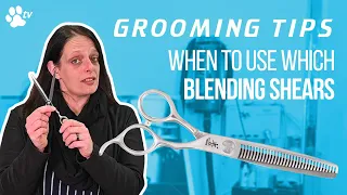 When to use which blending scissors for dog grooming | Grooming Tips - TRANSGROOM