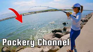 She slayed this Toothy Fish at the Jetties! Packery Channel ( Corpus Christi )