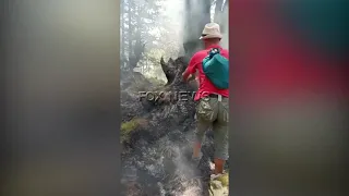 Pasi shkrumboi pjesën veriore te malit Tomorr zjarri ka marre drejtimin  në jug në pyjet e Kapinovës