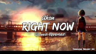 Akon:-Right Now Na Na Na (slowed+reverbed) || Timeless Melody 24