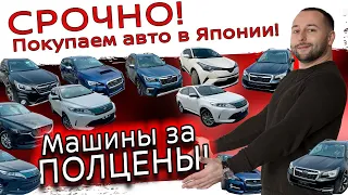 Массовый вывоз авто из Японии, ЗАКАЗЫВАЙ ПОКА ДЕШЕВО❗Forester❗ Outback❗Levorg❗CX8❗Harrier ❗C-HR ❗