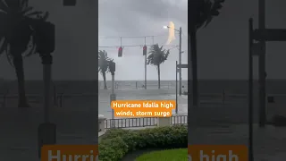 Hurricane Idalia made landfall in Florida today. Here’s a look at the wind and storm surge in Tampa.