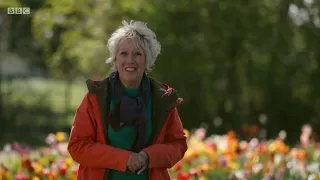 Gardeners' World 2019 E09