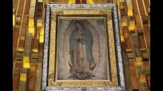 The Miraculous Image of Guadalupe
