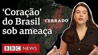 Os fatores que tornam situação do Cerrado mais preocupante do que a da Amazônia