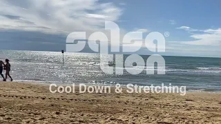 “Ojitos Lindos” - Salsation®️Cool Down + Upper Body Stretching - SEI Jani Roman Sufan