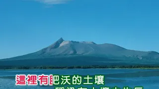 周璇 ~ 高崗上