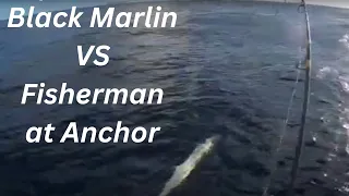 Black Marlin Vs light outfit in a boat at anchor