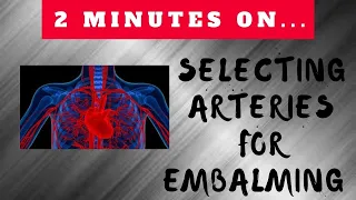 How Do You Select Which Artery to Use for Embalming? - Just Give Me 2 Minutes